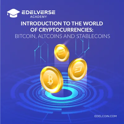 Introduction to the world of cryptocurrencies: Bitcoin, altcoins and stablecoins