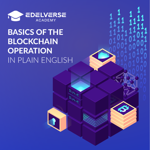 Basics of the Blockchain operation